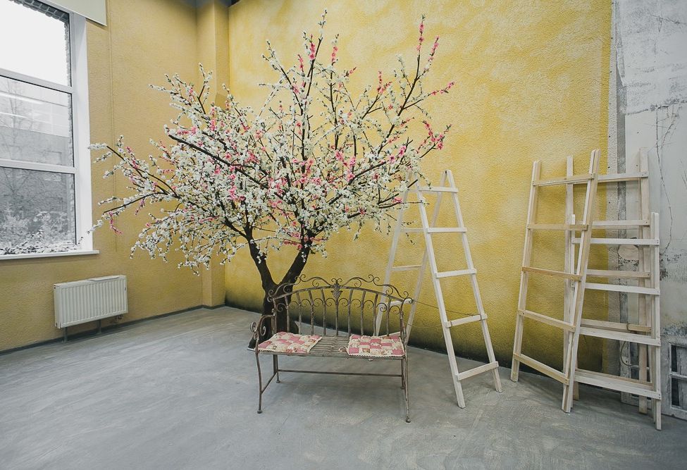 null «Apriori Kioto» – фото №2