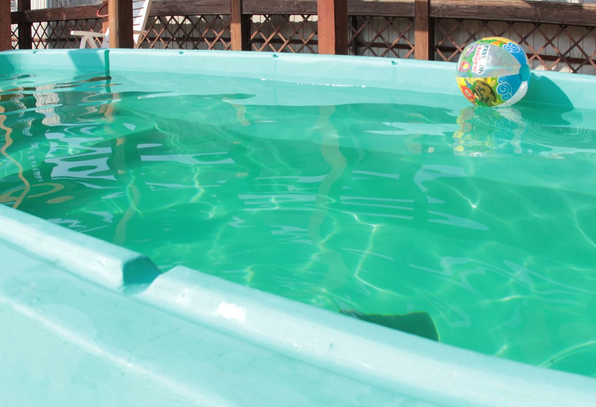 null «Веранда» – фото №2