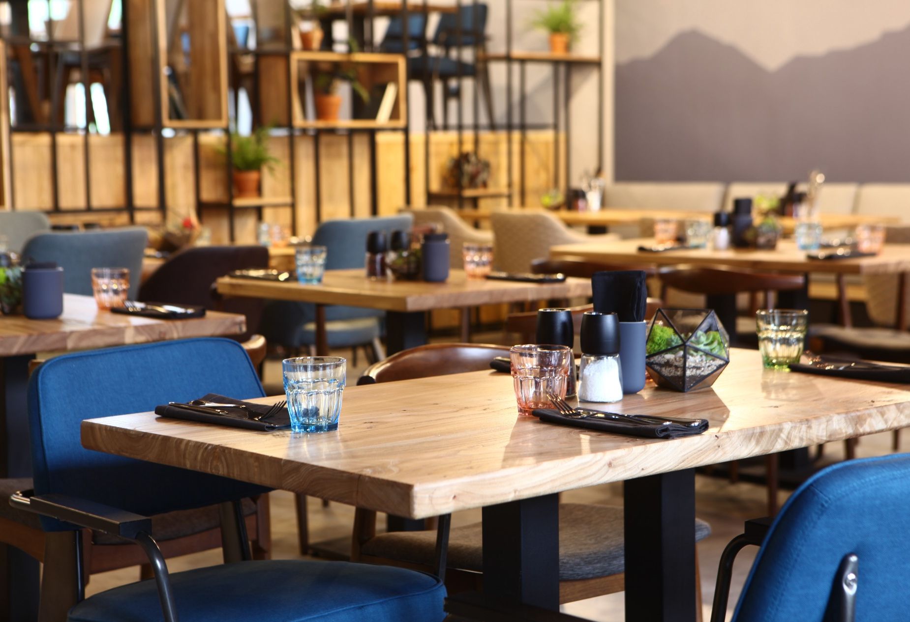 null «Ресторан Северия » – фото №5