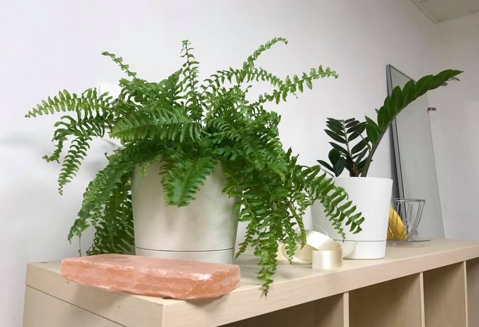 null «Атмосфера семейный центр и соляная студия» – фото №3