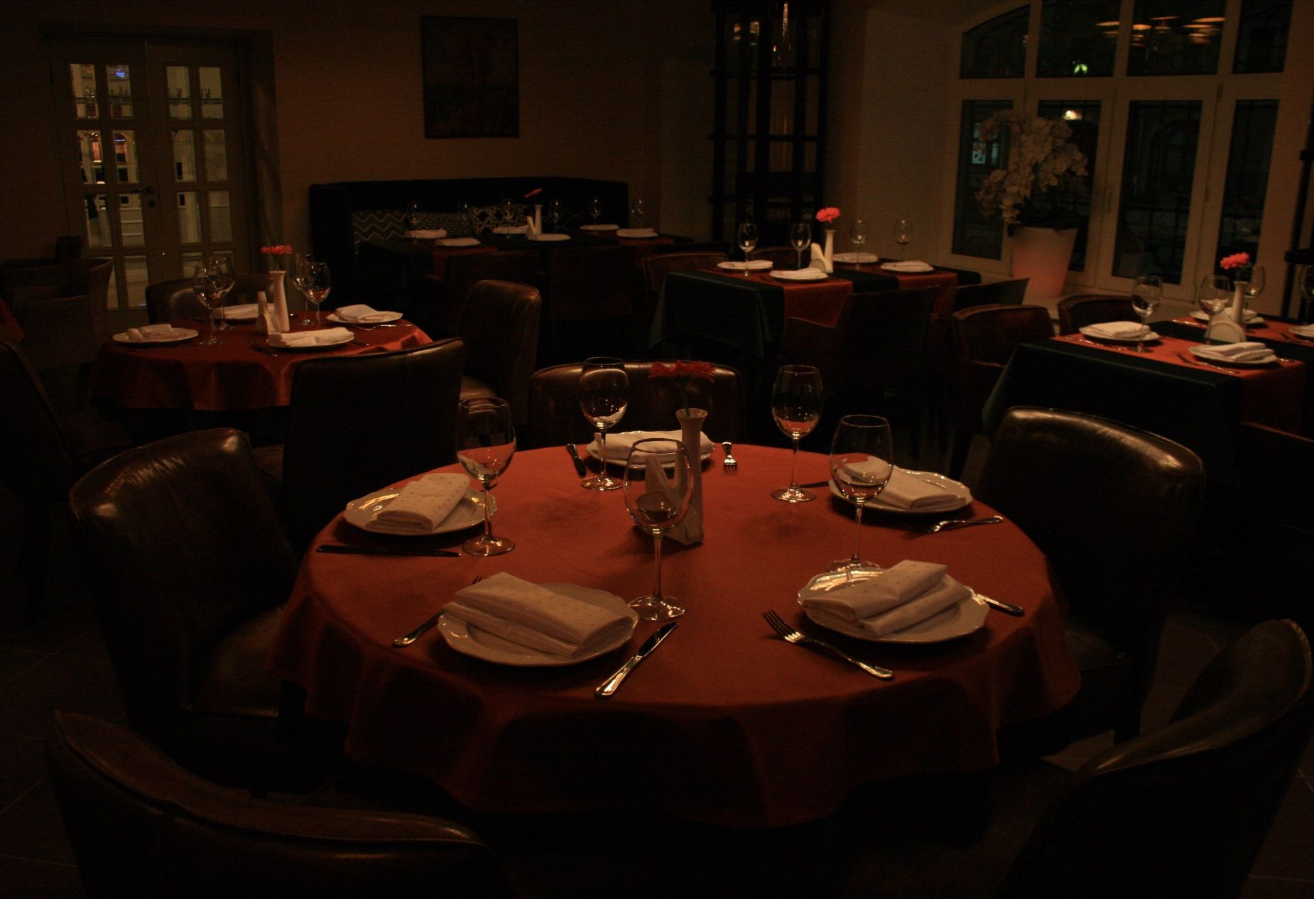 null «Nutrucula» – фото №3