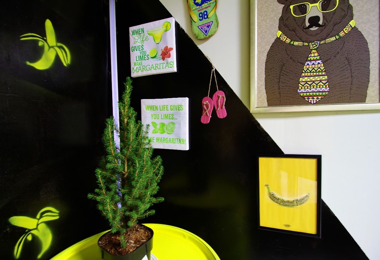 Лофт «Зал "Авангард" IronCage» – фото №4