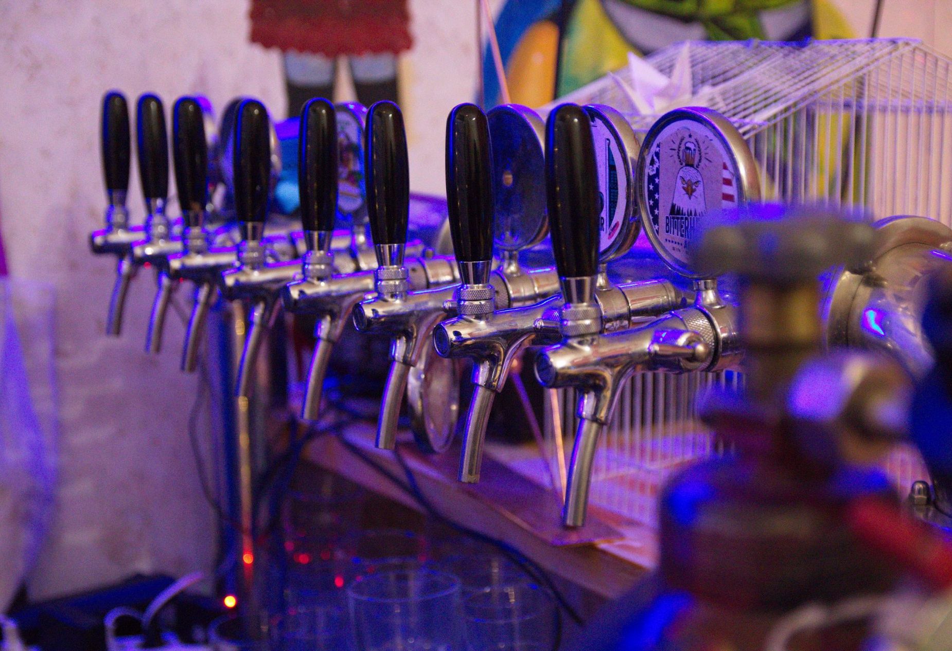 Бар «Бар Птичья Личность» – фото №4