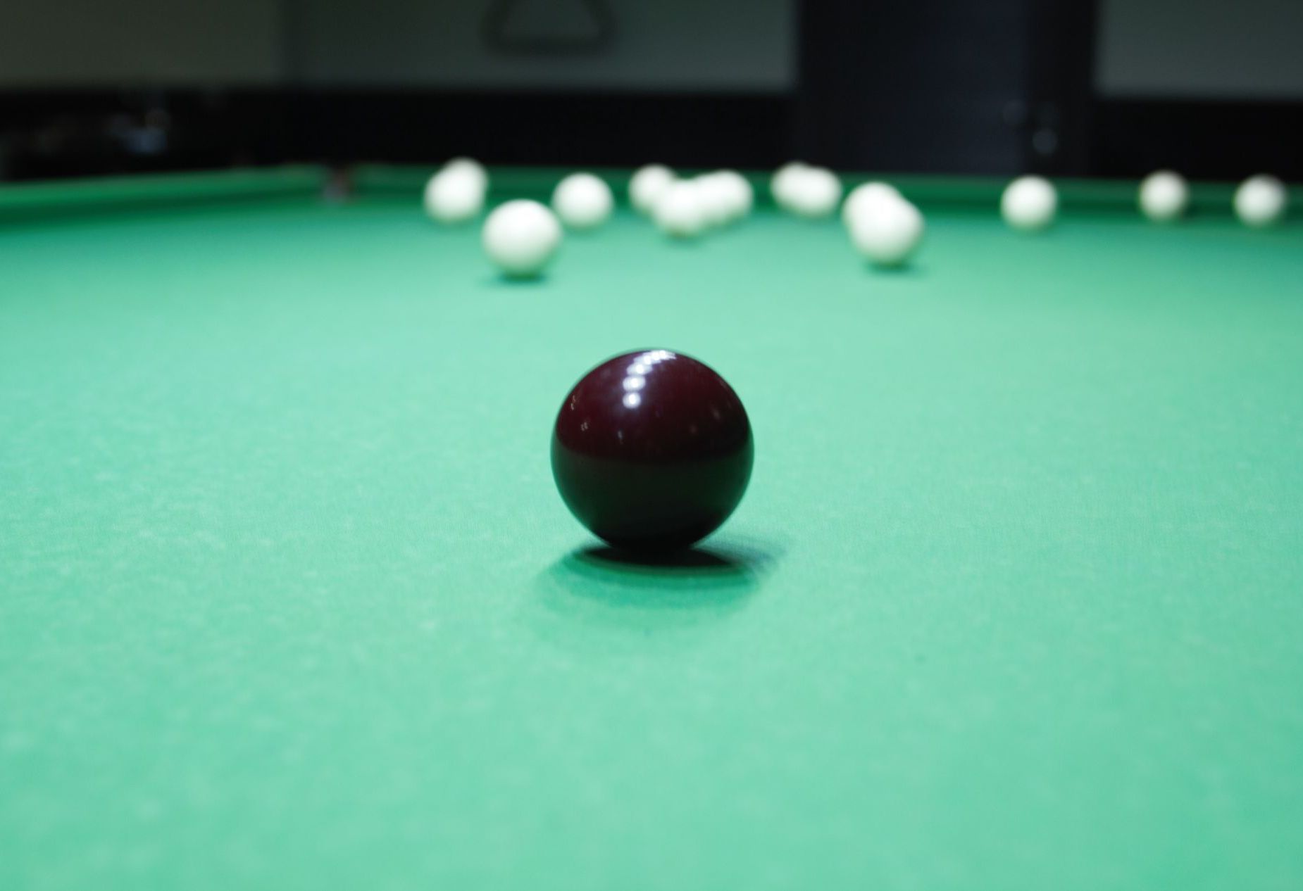 Лофт «Амазония» – фото №4