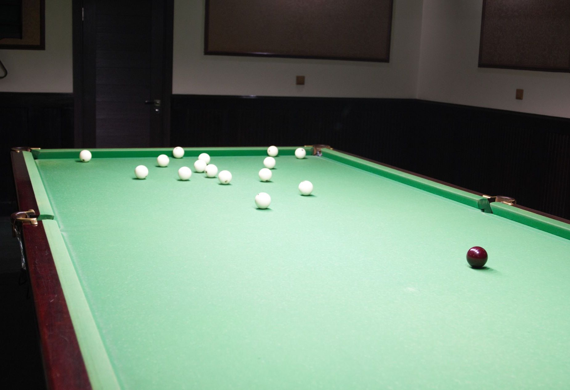 Лофт «Амазония» – фото №3