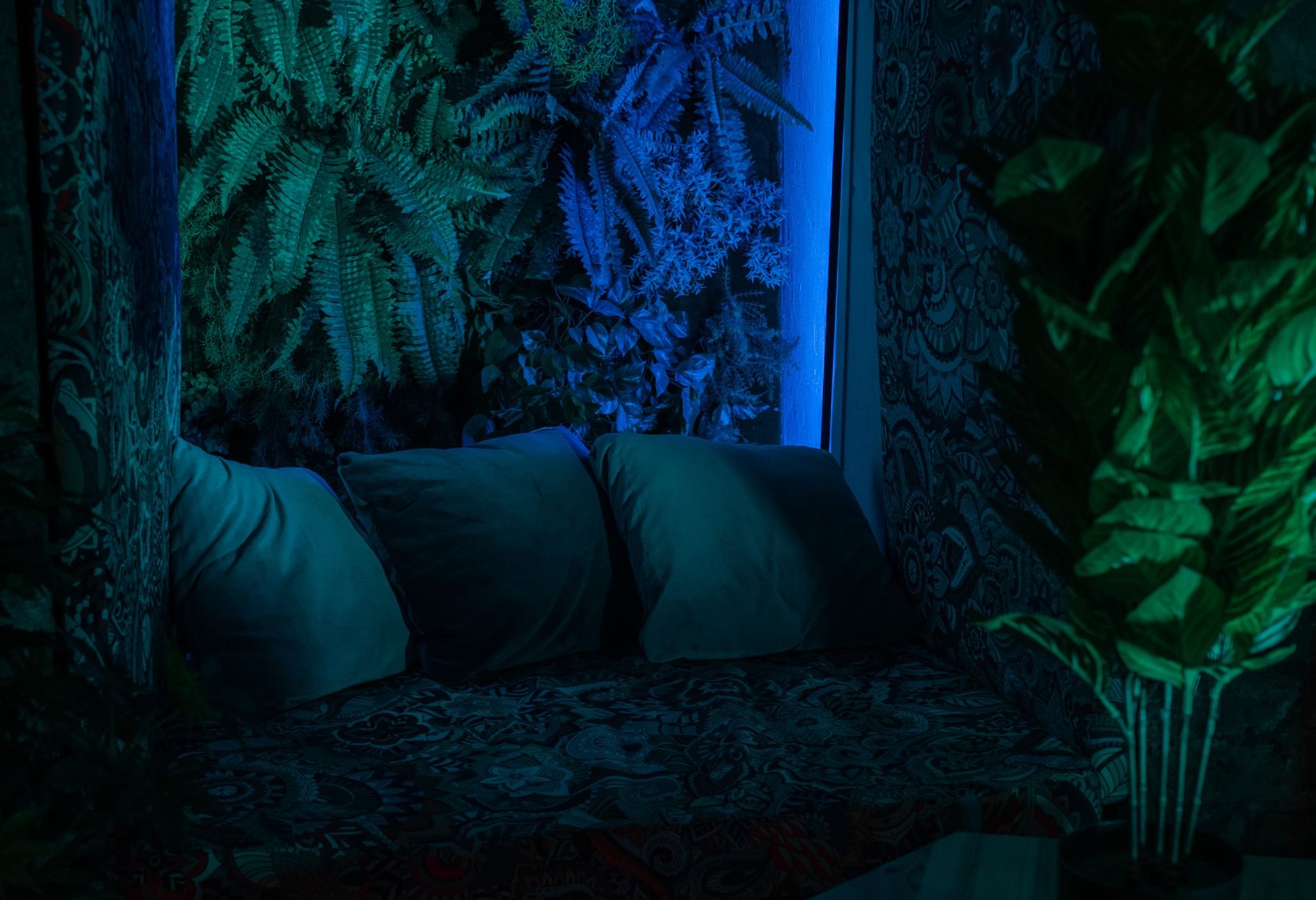 Лофт «Try | Мексиканский лаунж-бар» – фото №2