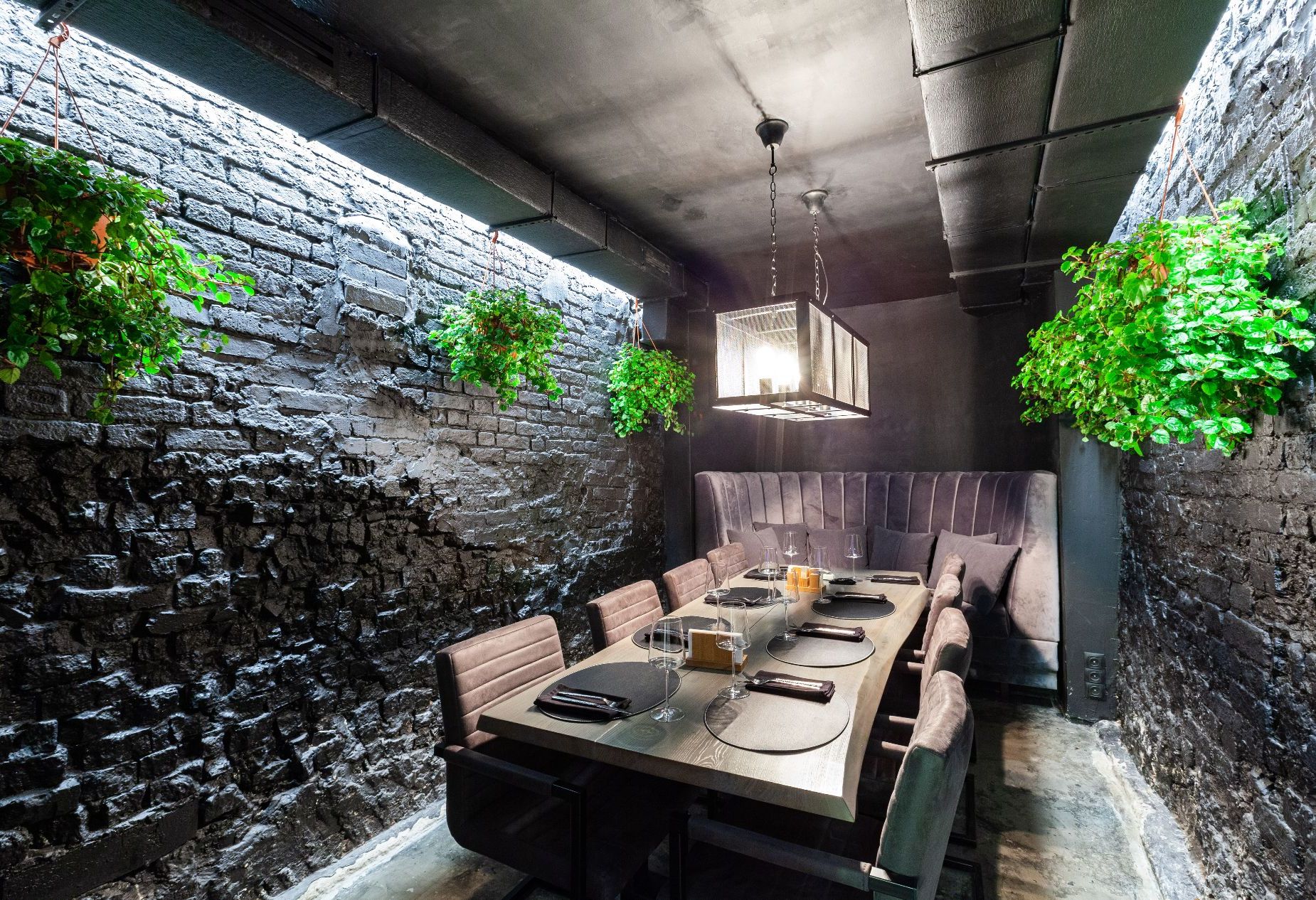 Бар «Blanco bar» – фото №5