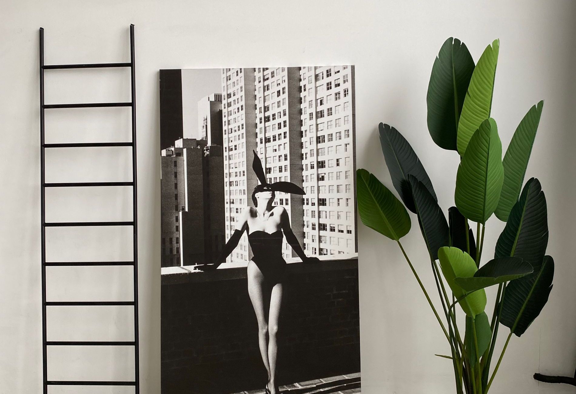 Студия «Зал MUSE (Фотостудии BASE)» – фото №2