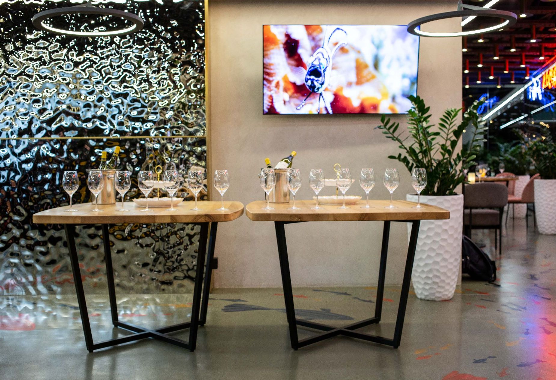 Ресторан, банкетный зал «Бистро Рыба мечты» – фото №4