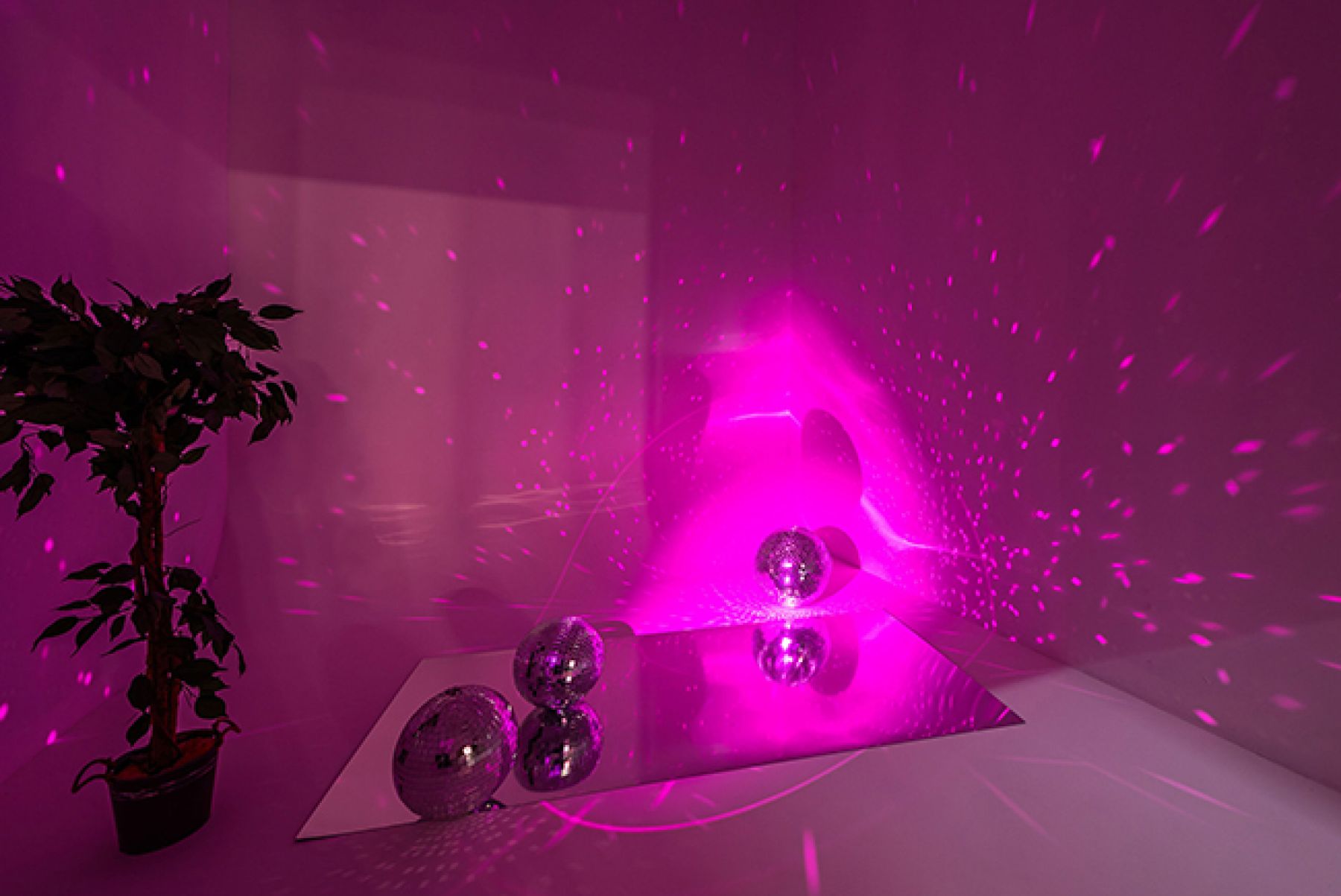 Студия «PINK PHOTOSTUDIO SLAY» – фото №5