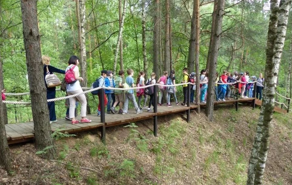 Беседка «Деревянные беседки в парке Лосиный остров» – фото №4