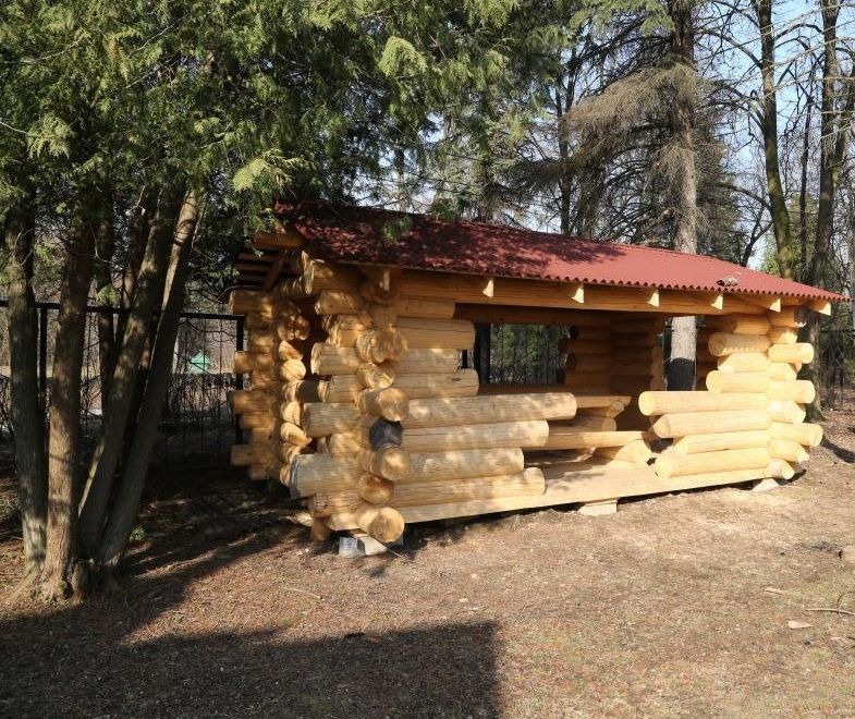 Беседка «Деревянные беседки в парке Лосиный остров» – фото №3