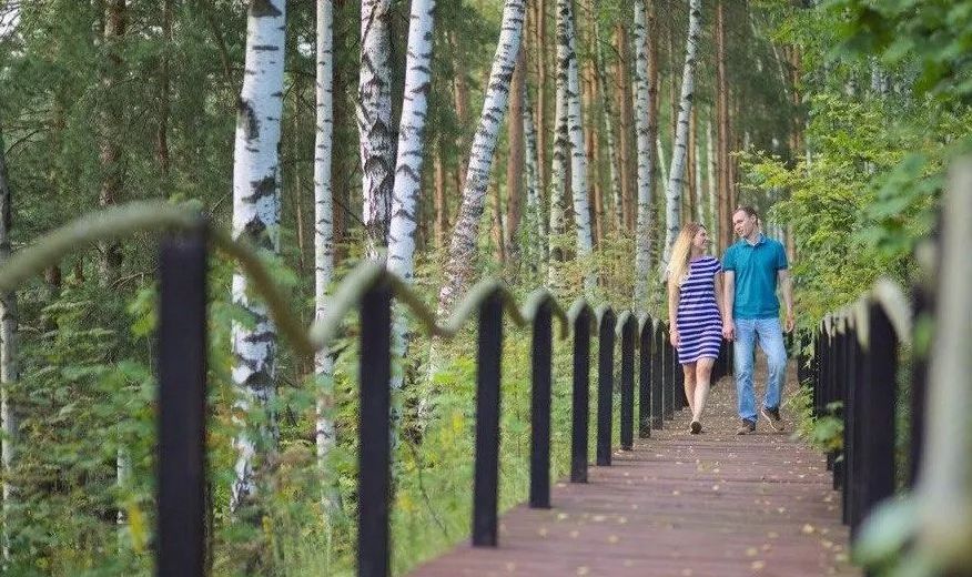 Беседка «Деревянные беседки в парке Лосиный остров» – фото №5