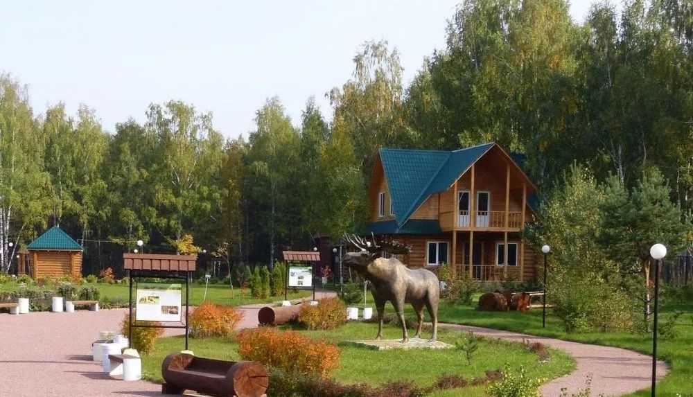 Беседка «Деревянные беседки в парке Лосиный остров» – фото №2