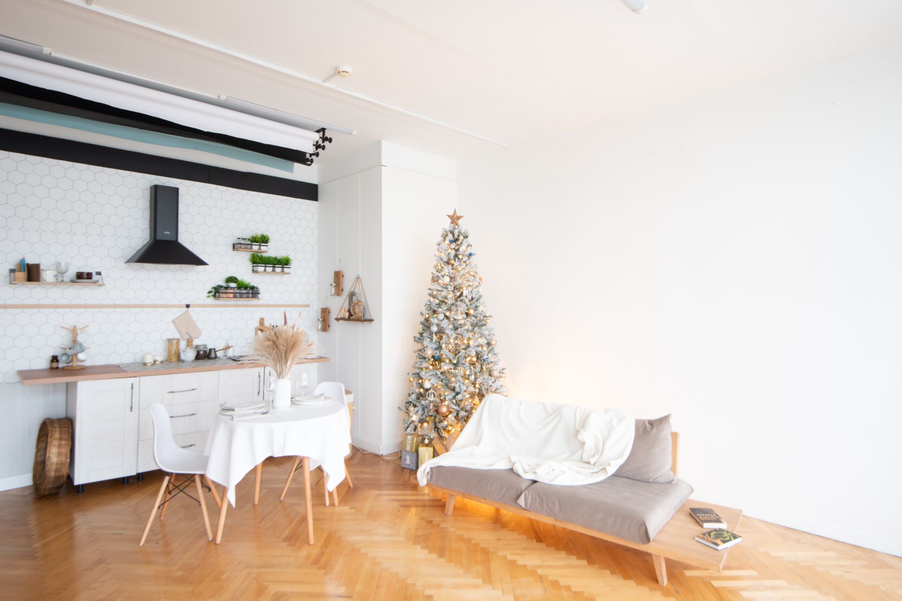 Студия «Svet (Unicorn Studios)» – фото №2