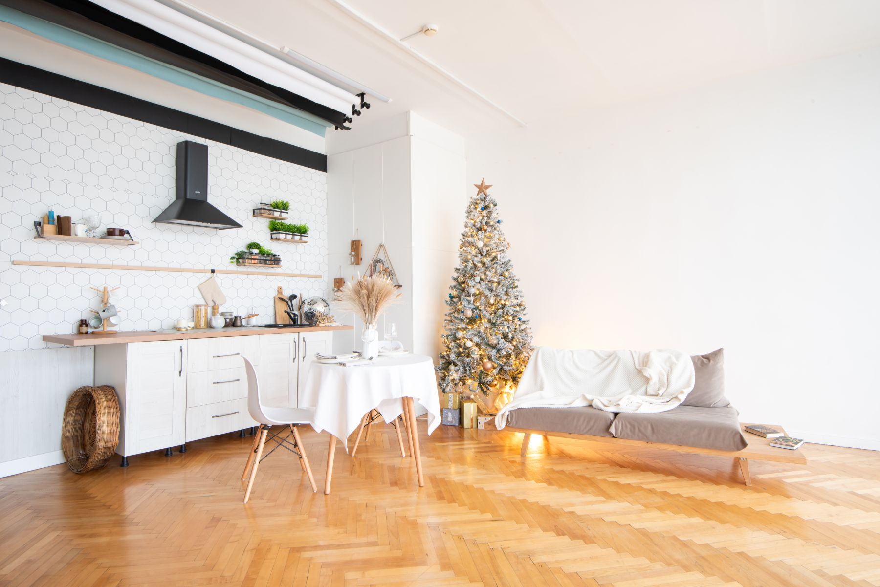 Студия «Svet (Unicorn Studios)» – фото №5