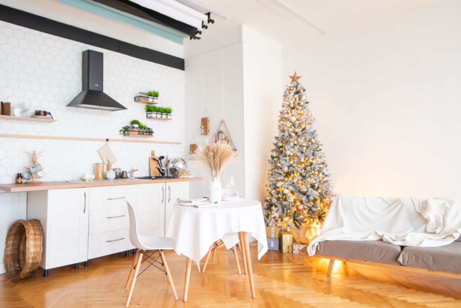 Студия «Svet (Unicorn Studios)» – фото №4