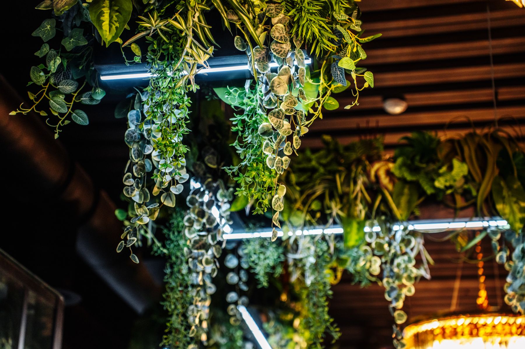 Бар «Бар Uность» – фото №3