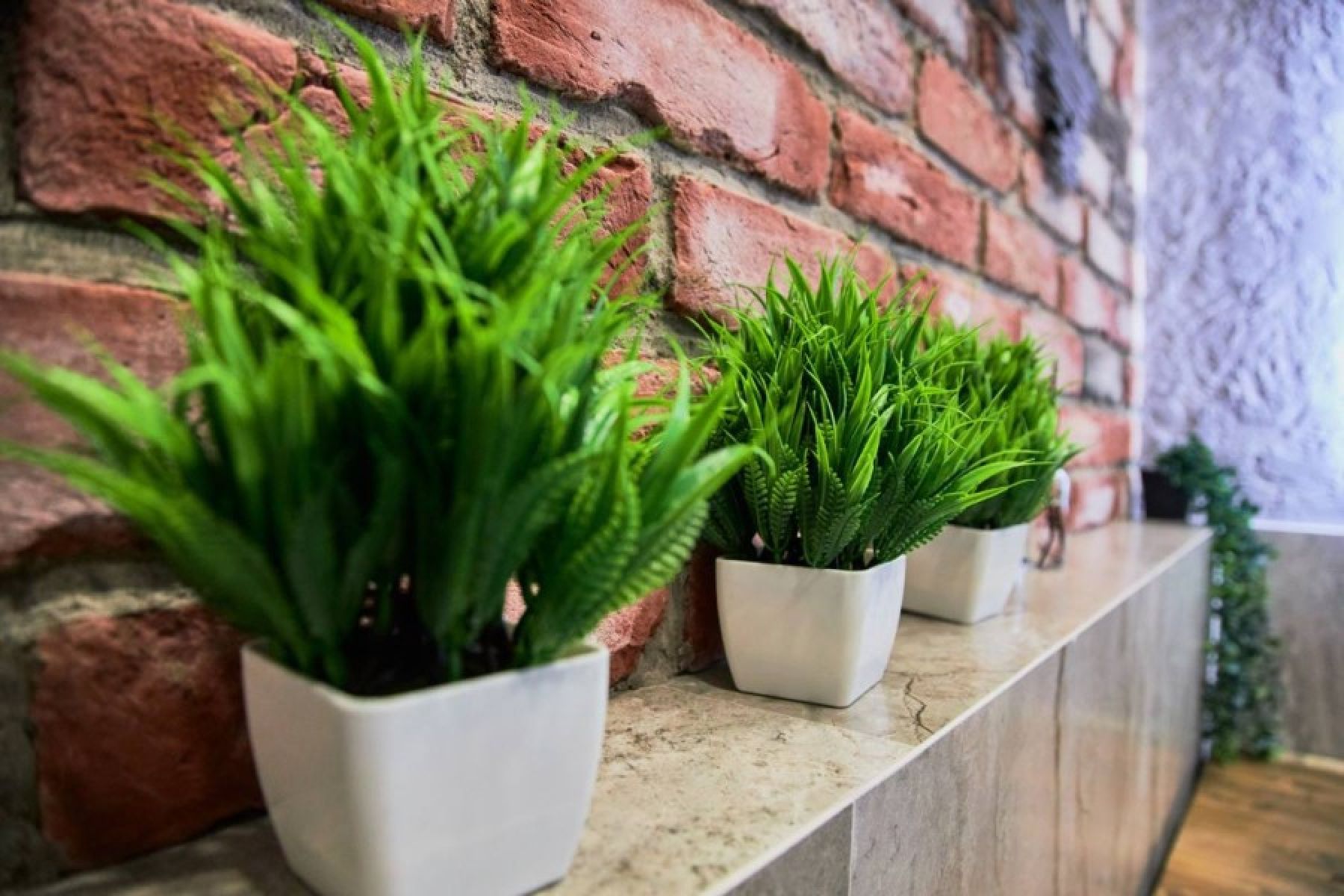 Лофт «Аренда Заречная Лофт в Санкт-Петербурге» – фото №2