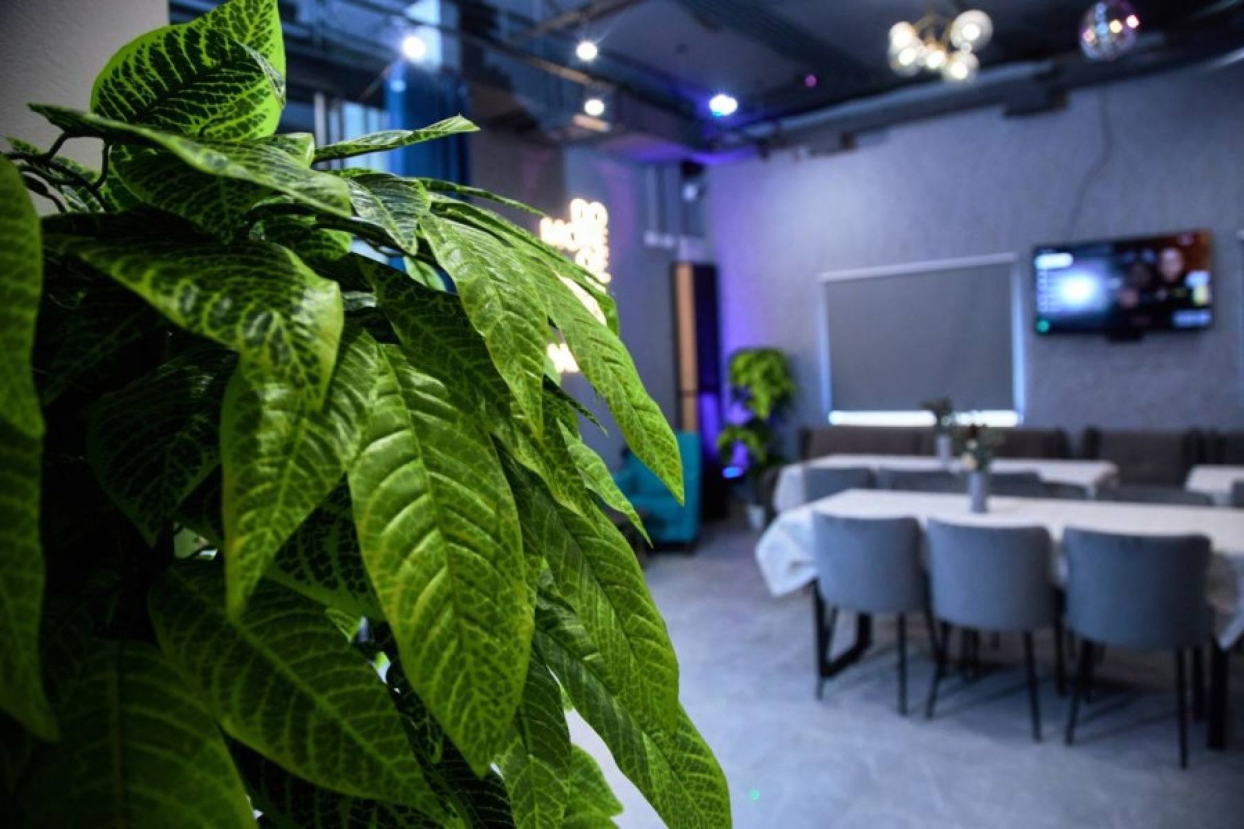 Лофт «Аренда Заречная Лофт в Санкт-Петербурге» – фото №3