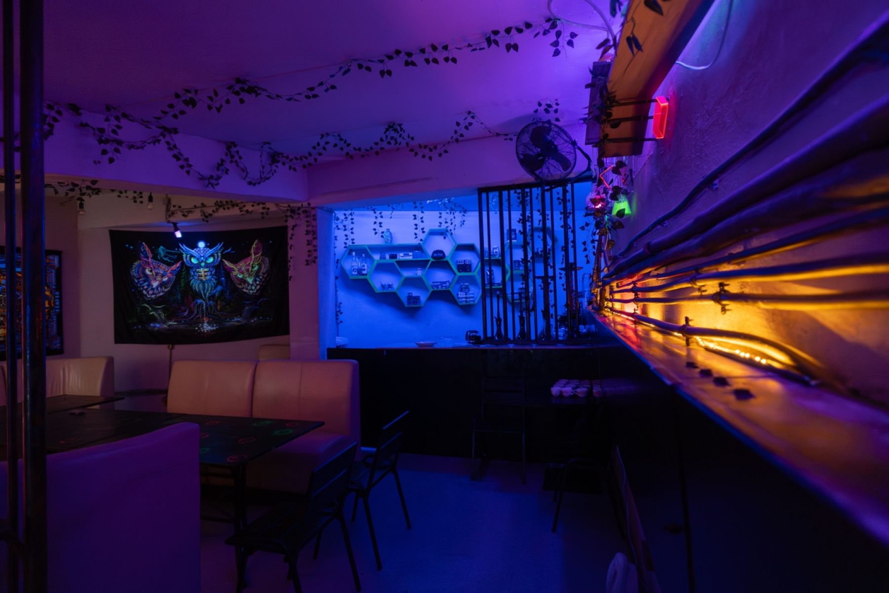 Лофт «Лофт «Метаморфоза»» – фото №4