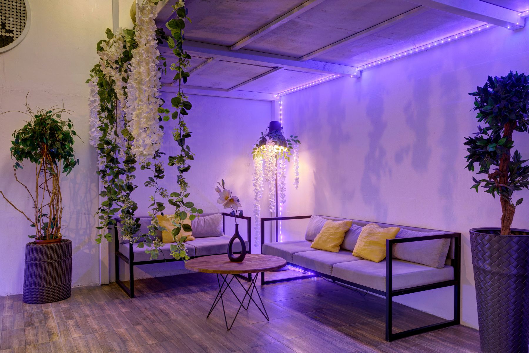 Лофт «Лофт Флора» – фото №5