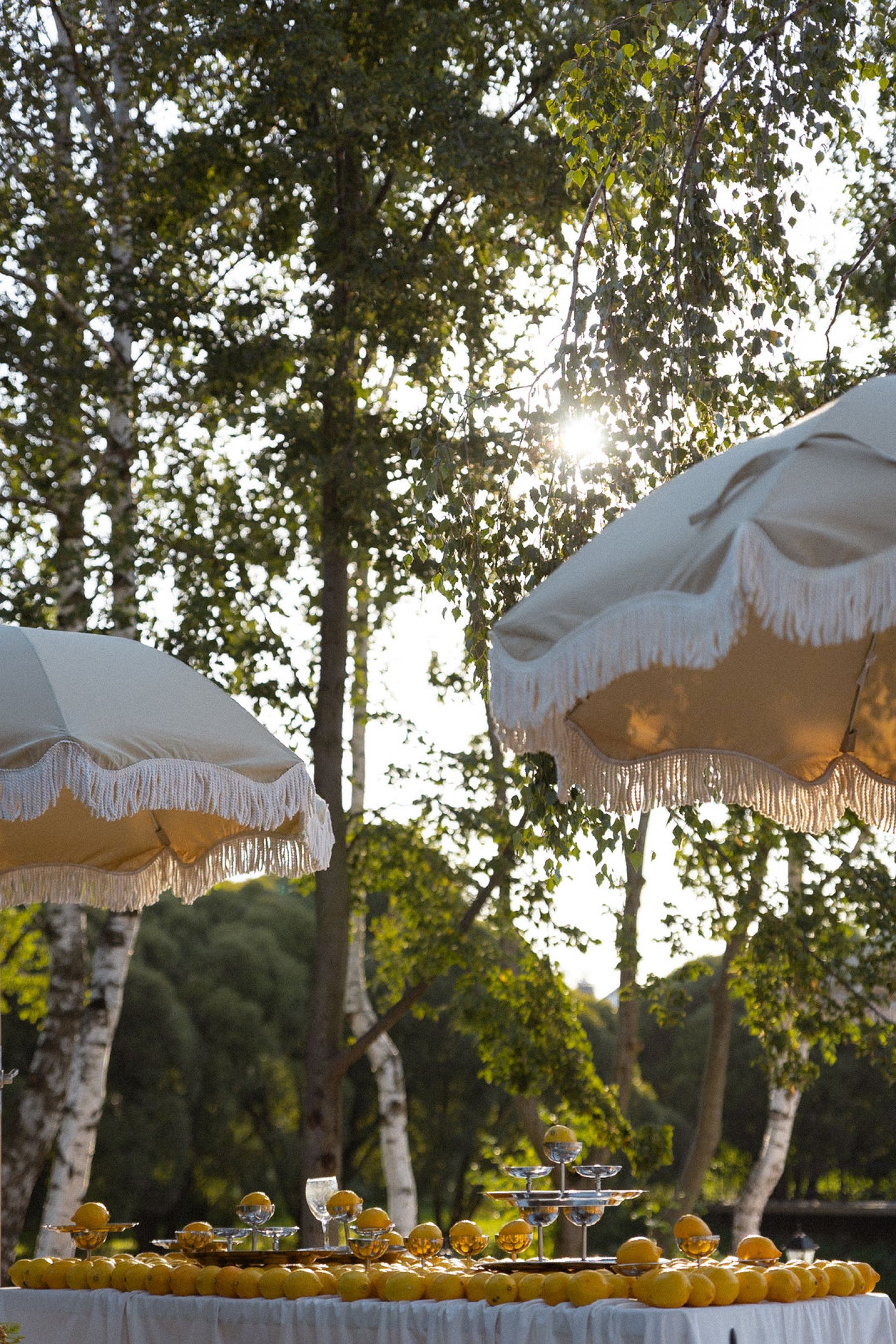 Инстаграмные площадки «Goelro × Банкет Сад. Велетный причал» – фото №2