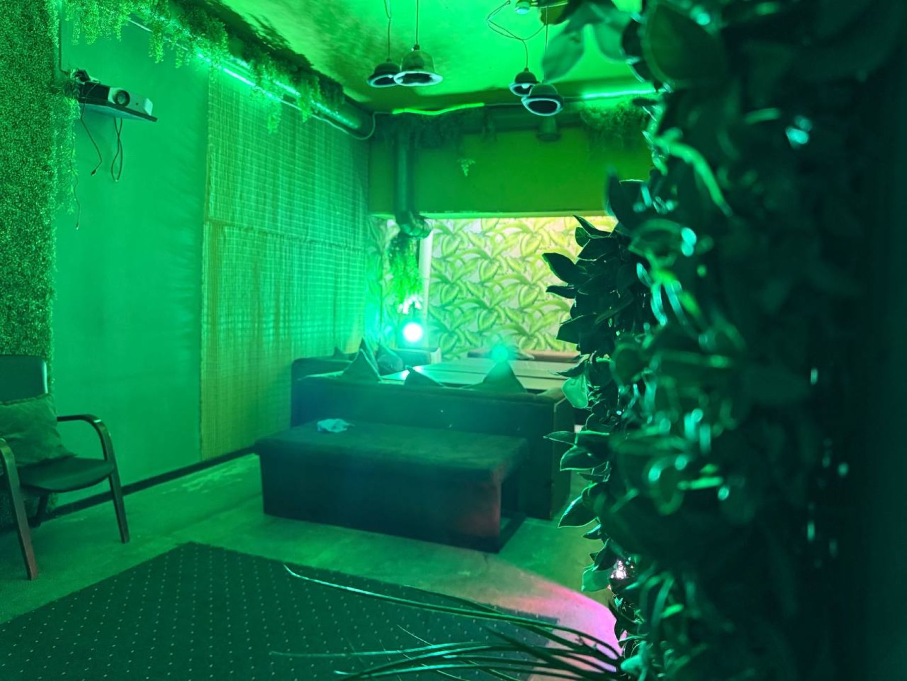 Лофт «GREEN» – фото №3